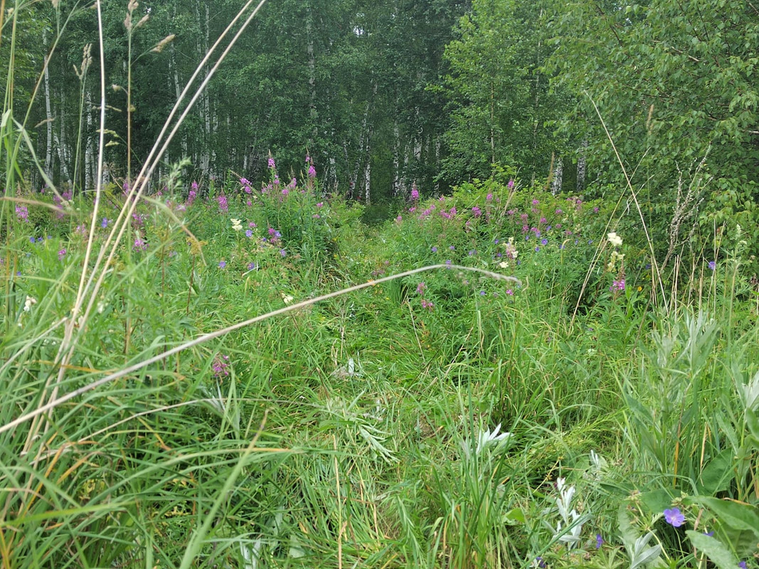 Изображение WhatsApp 2023-05-23 в 11.37.13