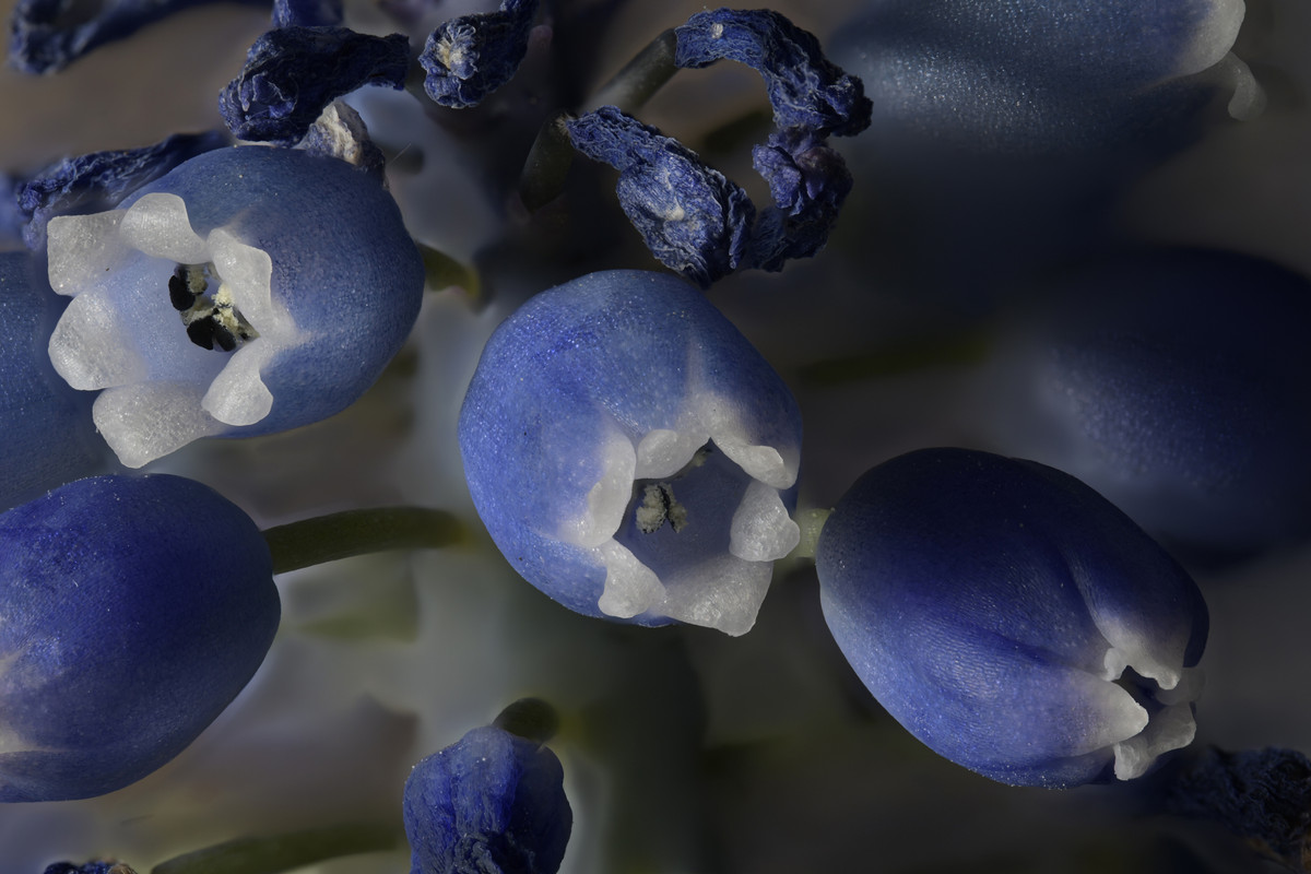 2024-04-29 12-20-55 (B,R8,S4)