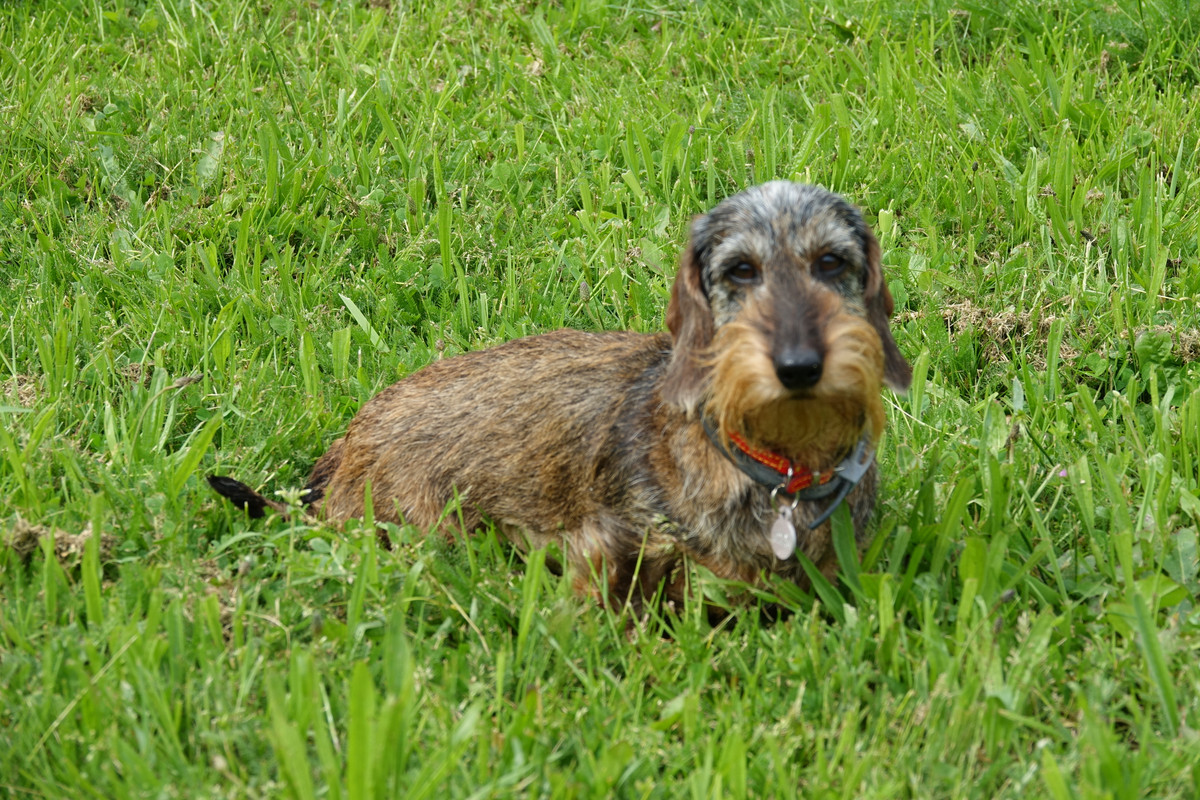 [Image: Nancy-2.jpg]