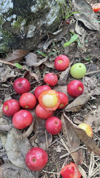 484083481 1123733899551879 3694203527179769016 n