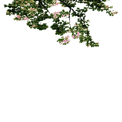 251