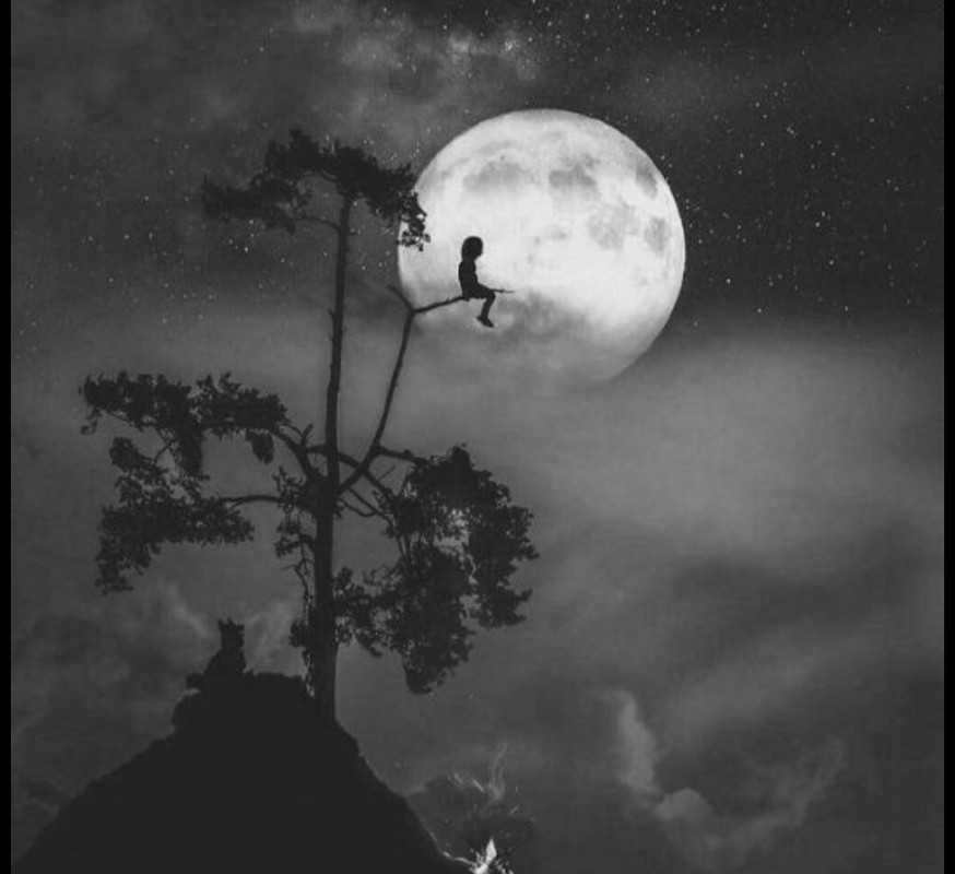 Screenshot_20251003_212155_Pinterest