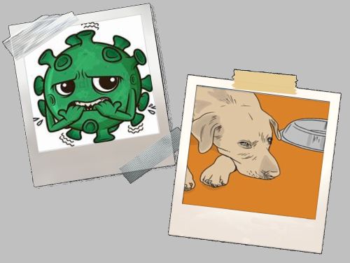 [Image: Where-s-my-food-final-smaller.jpg]