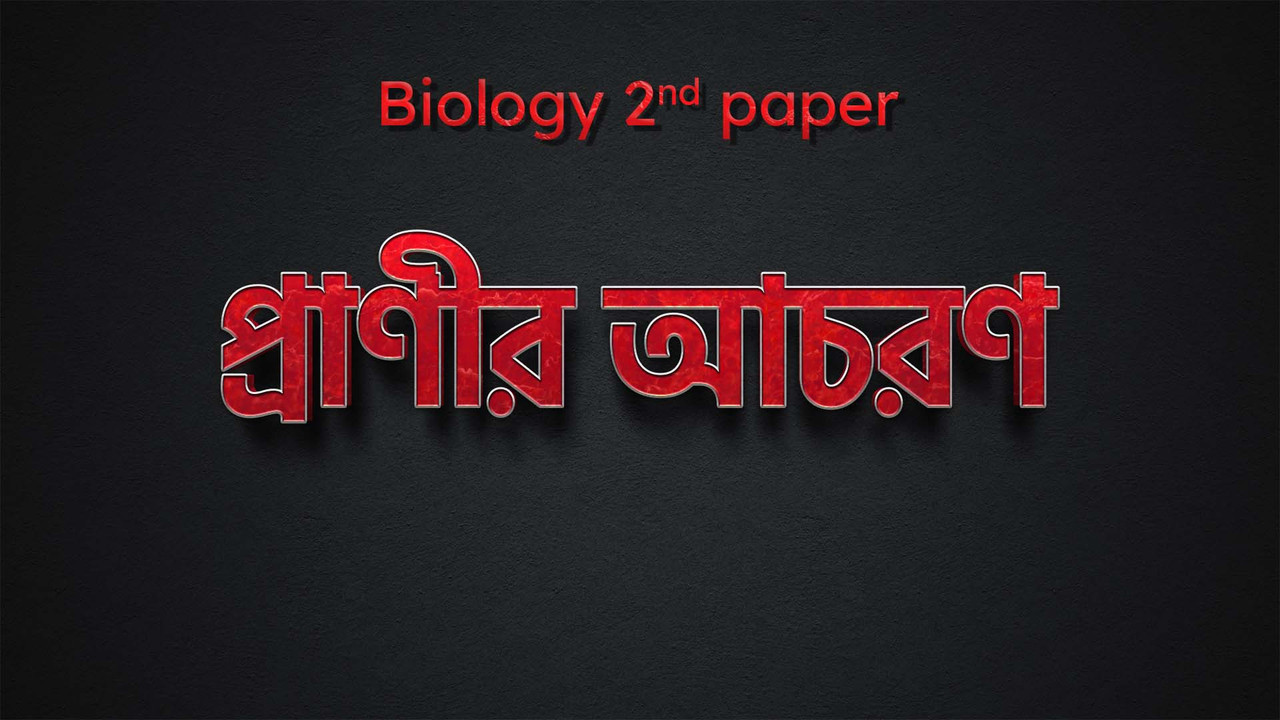 প্রাণীর আচরণ