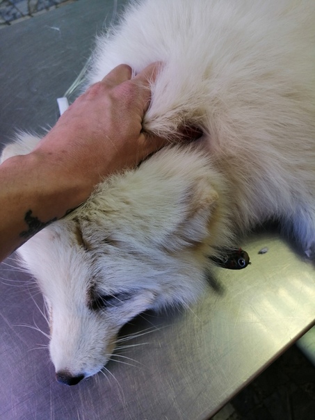 5ABB3FD3-FC74-4E9F-AF41-0DDA3EC06BAE