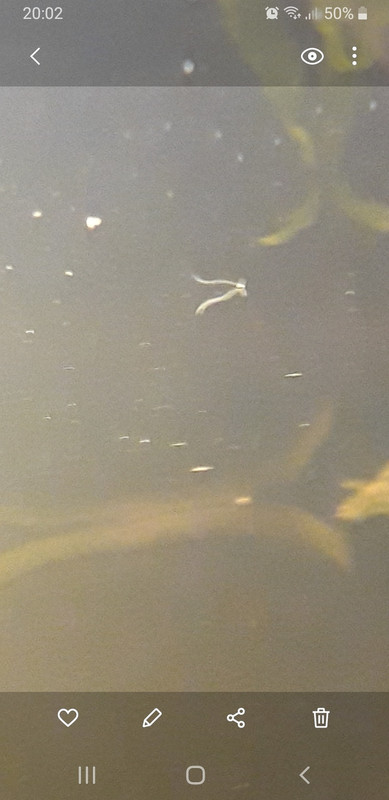 Screenshot_20210108-200217_Gallery