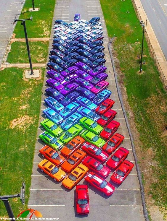 multi-cars.jpg