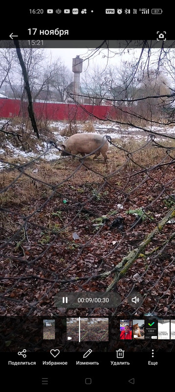 Screenshot-2025-11-20-16-20-26-40-99c04817c0de5652397fc8b56c3b3817