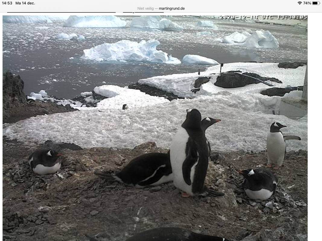 7B9BDF16-E224-4E81-896B-A2D62B99DC9A