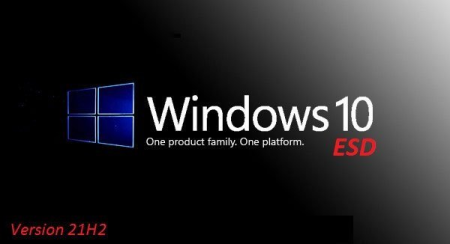 Windows 10 x64 21H2 Build 19044.1466 10in1 OEM ESD January 2022 Preactivated