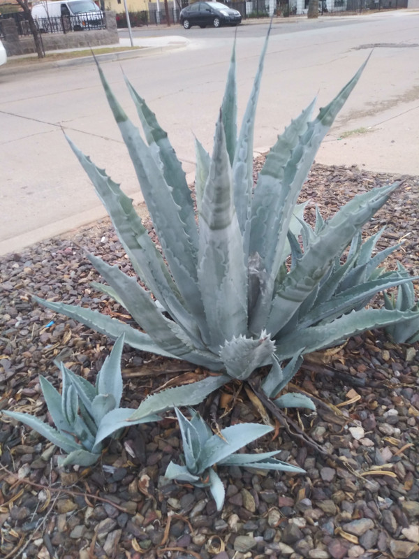 20191128_072949