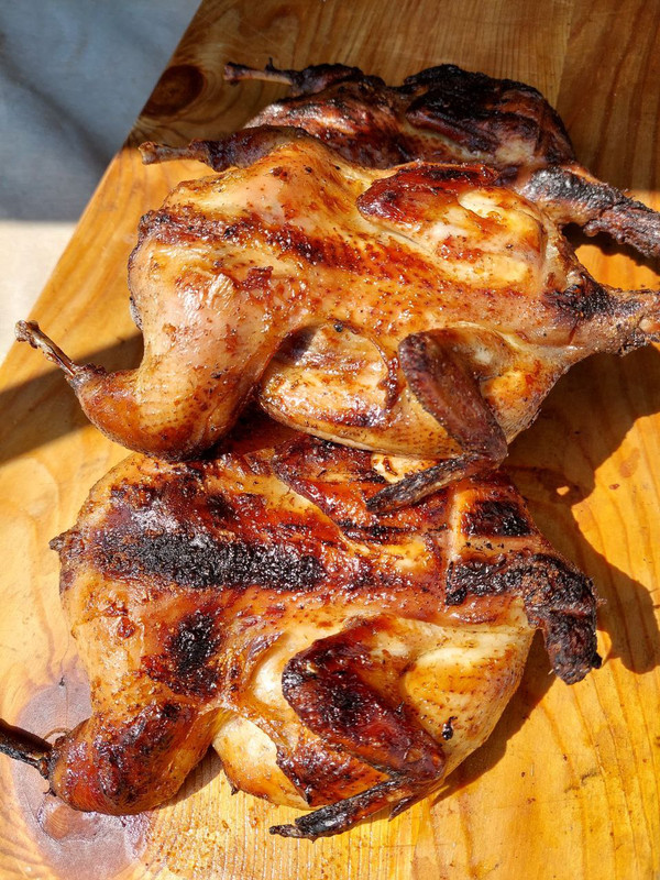 IMG_20231130_135953_129