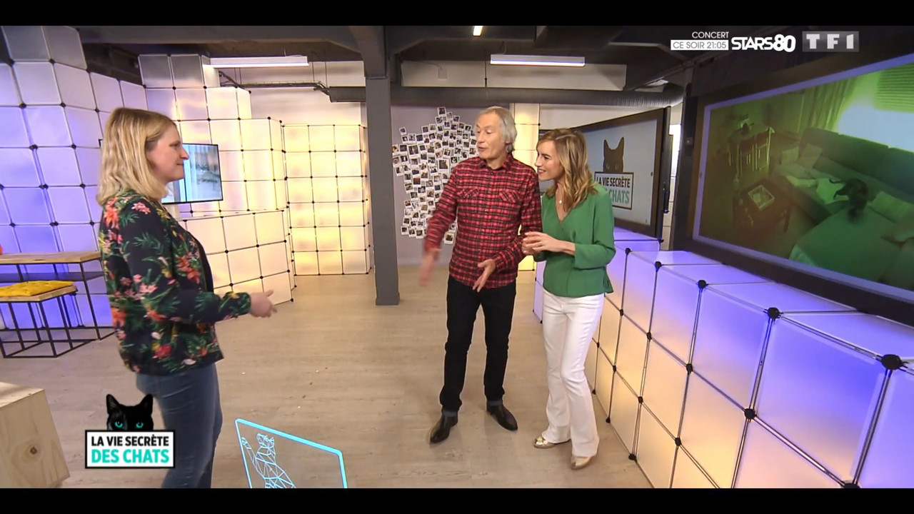 2020-05-30_10_35_TF1_La-vie-secrete-des-chats_Chats-et-sentiments-avec-Charlotte-Valan.mp4_snapshot_