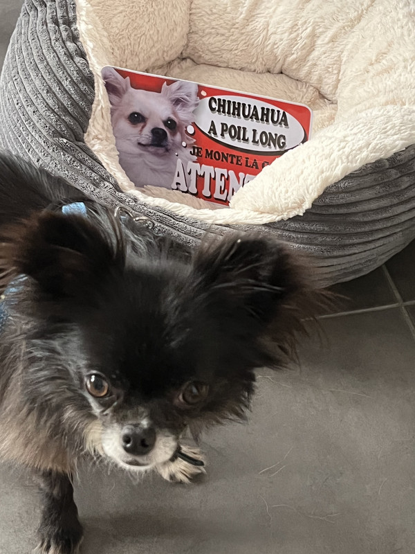 [Image: B579-DFBD-DE66-4-AC0-BD58-F40-E69-B88800.jpg]