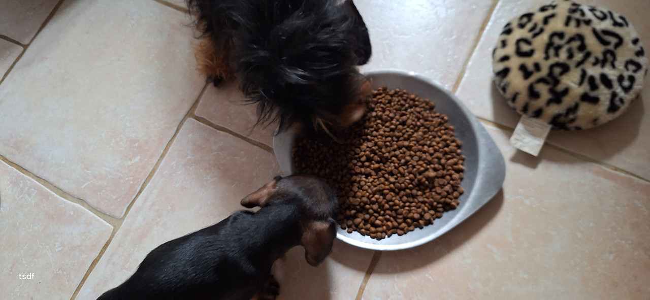 [Image: 20250603-192323.jpg]