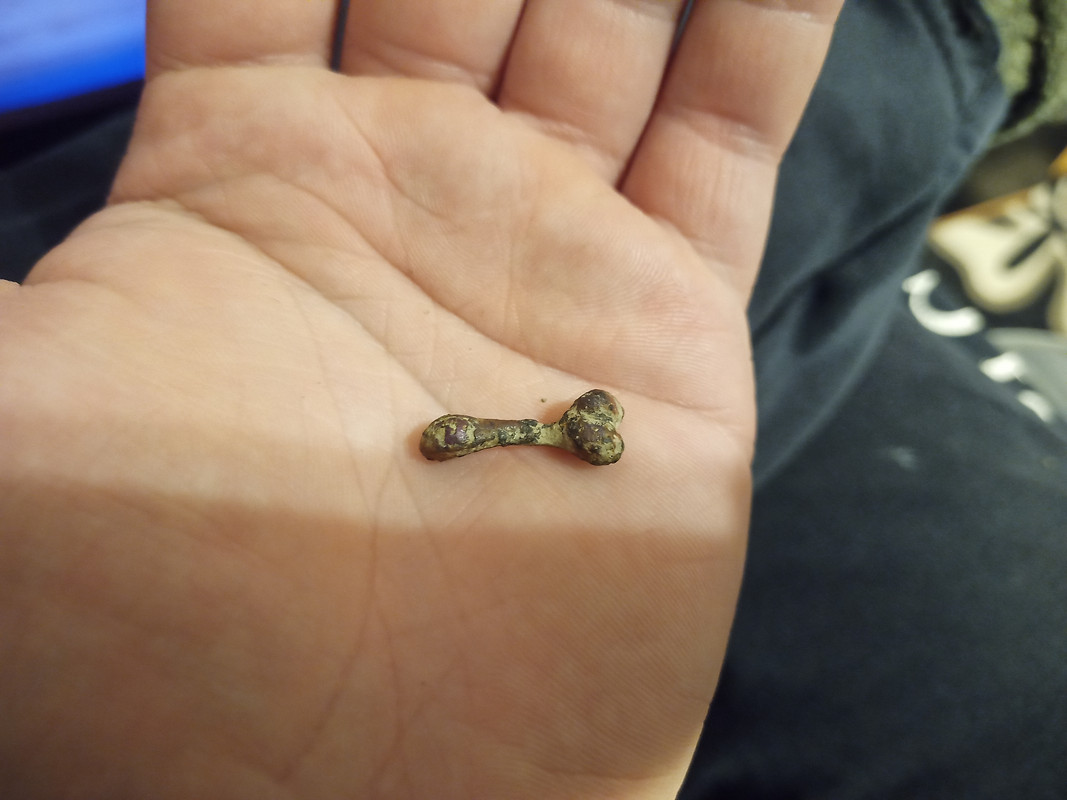 IMG_20220919_211959_586