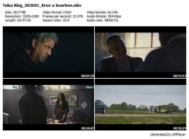 Re: Král Tulsy / Tulsa King (2025) / S03 / CZ