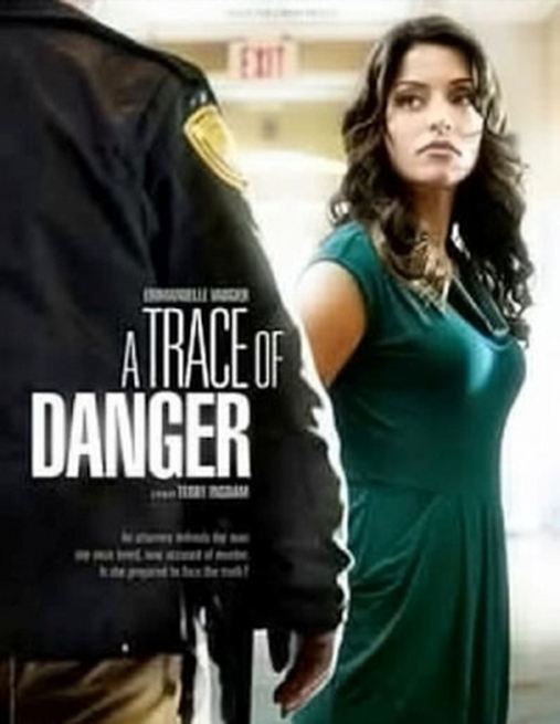 A Trace of Danger 2010 1080p WEBRip x265-RARBG