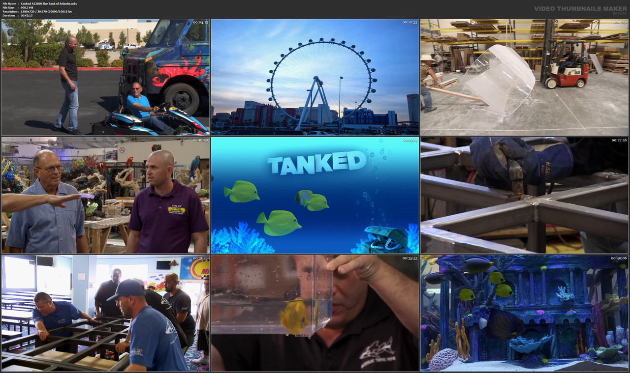 Tanked S13E08 The Tank of Atlantis.mkv