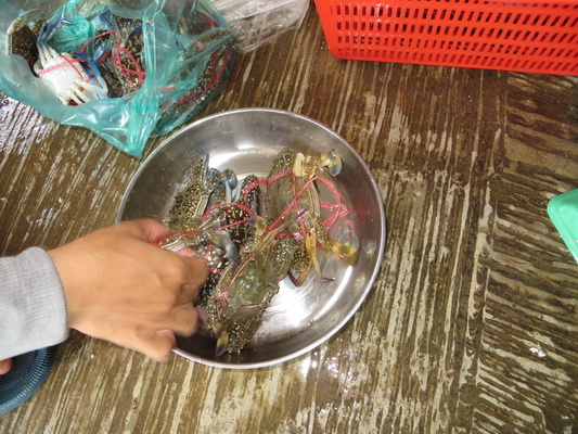 [Image: IMG-6370.jpg]