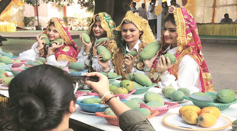 Over 200 Mango Varieties on Display
