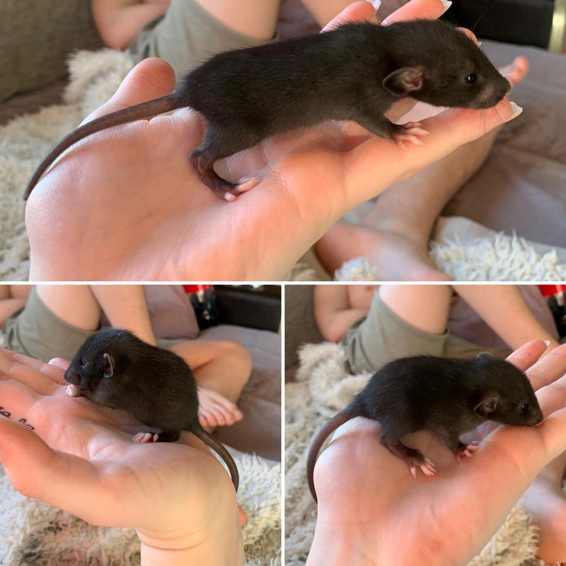 520A7496-2591-401E-BAC3-9083BAD6E7B5