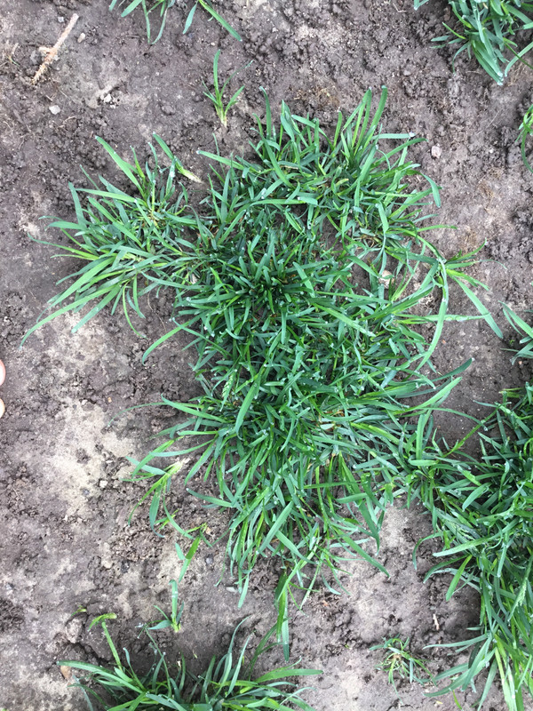 23F3B0D3-F289-4E37-986C-73601993EDE7