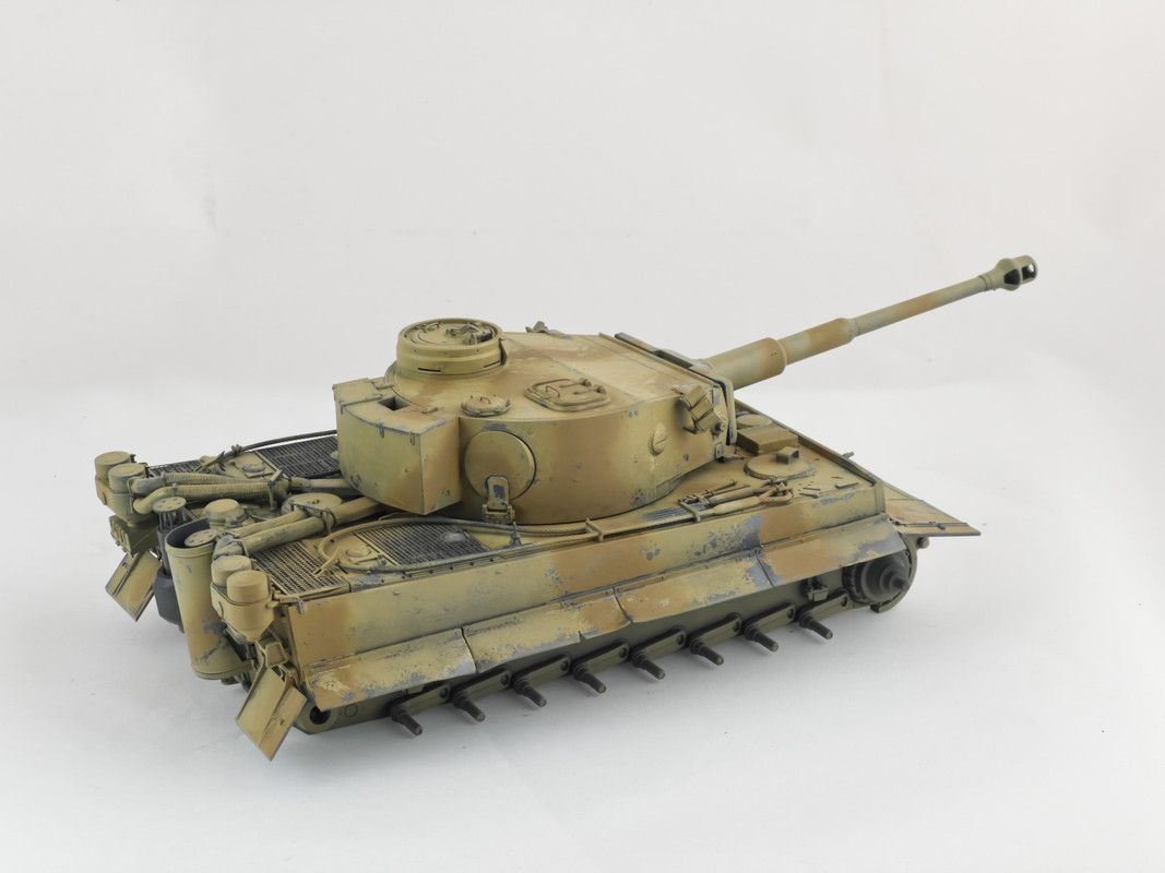 tiger131-10