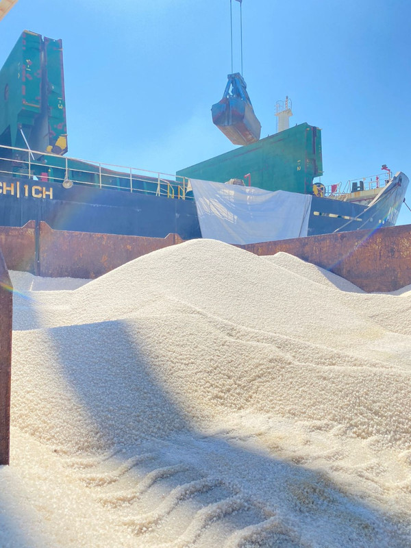Salt Processing