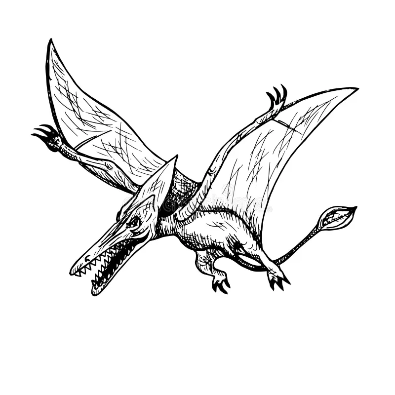 печать-183336219