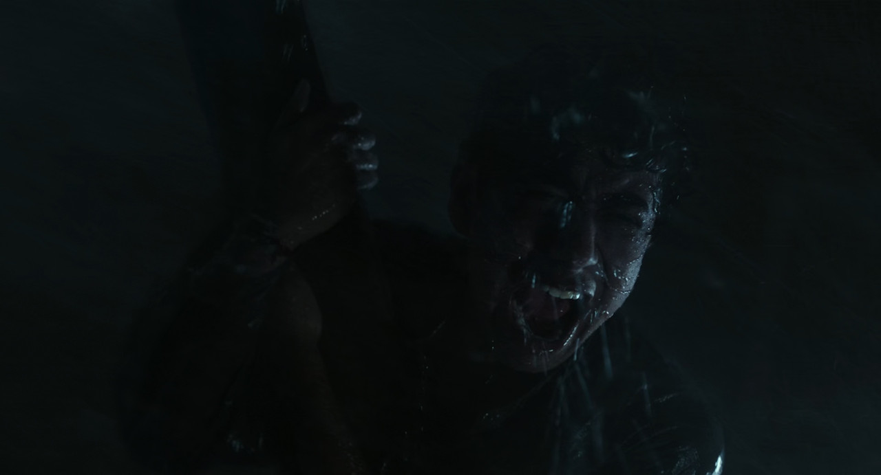 Life of Pi 2012 (1080p x265 10bit Tigole).mkv_sn