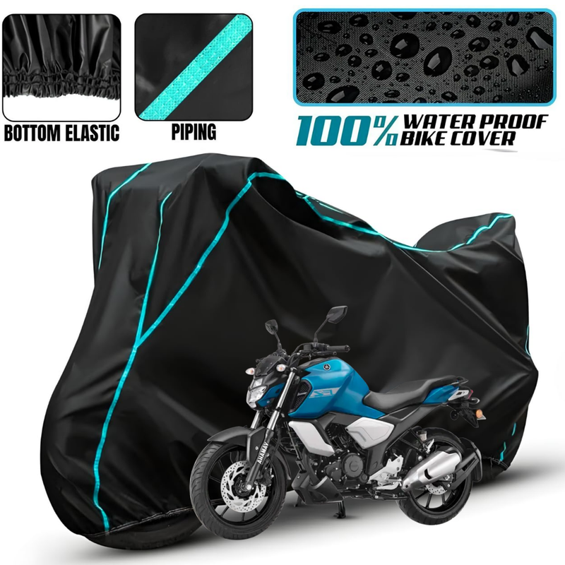 FZS FI V3 BS6