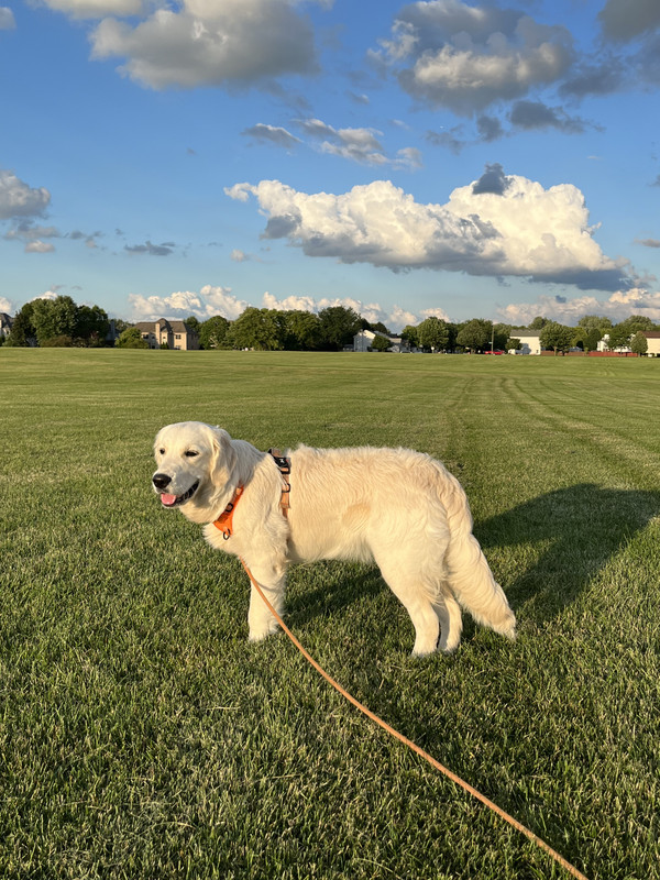 100CDA67-AA64-4B25-B9E8-B78279079BBF