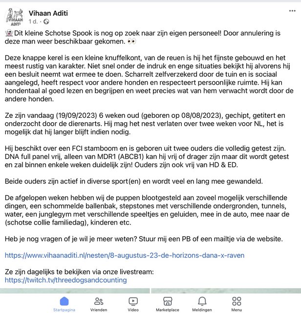 Afbeelding