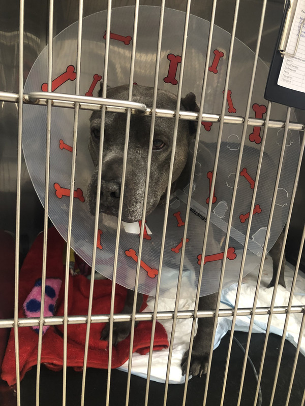 E4A6706C-D1DF-42F7-B7D4-406CB299D216