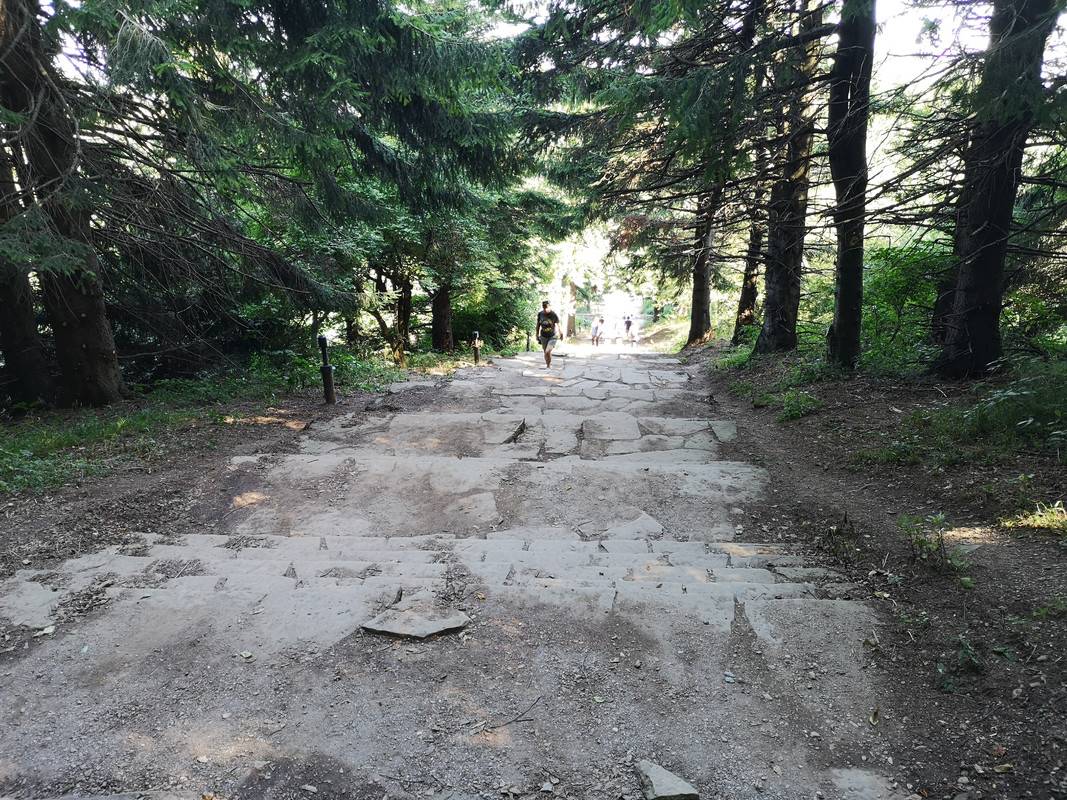 [Obrazek: IMG-20190811-095335.jpg]