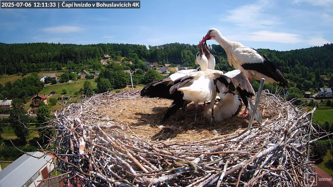 Tiešraide no KARA uzņēmuma stārķu skursteņa Bohuslavicē netālu no Trutnovas 14-7-57 screenshot