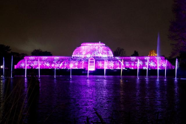 things to do london wonderlandKew gardens at christmas