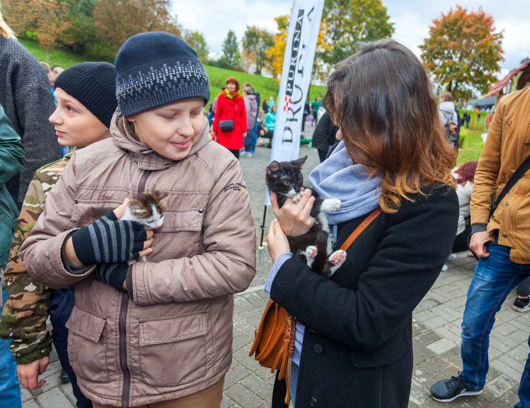 60BA3308-4F9A-4716-B4C3-2FD8CEDD51D5