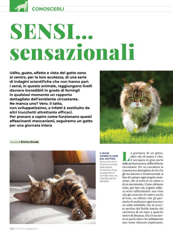 Ga Ma Apr-Mag 2022 (9)