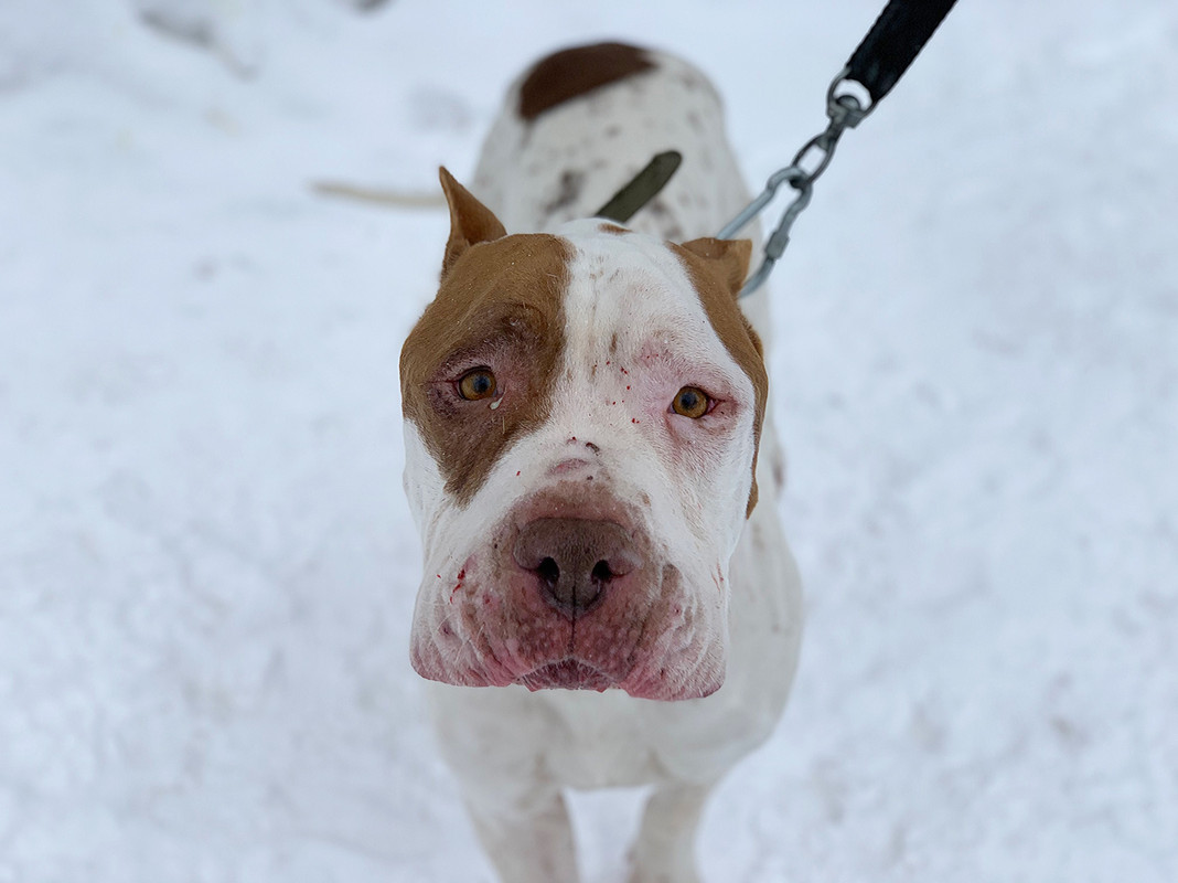 0B38606A-34E4-4A8D-8D0E-406C4ADB991F