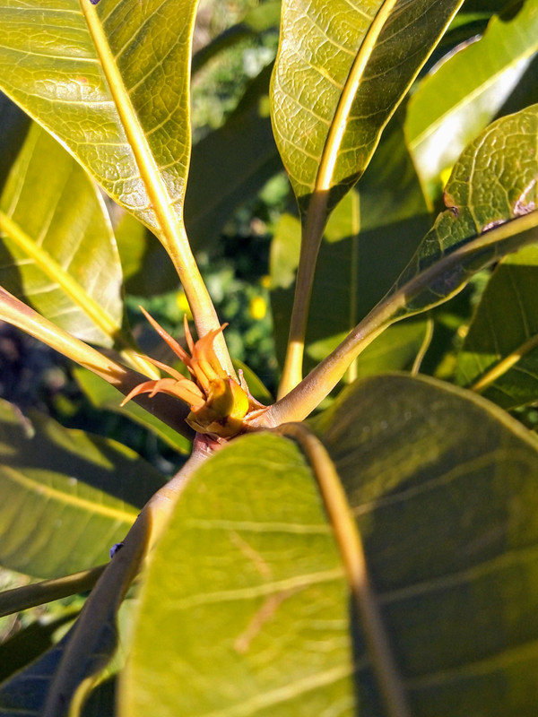 IMG_20240217_111759~2