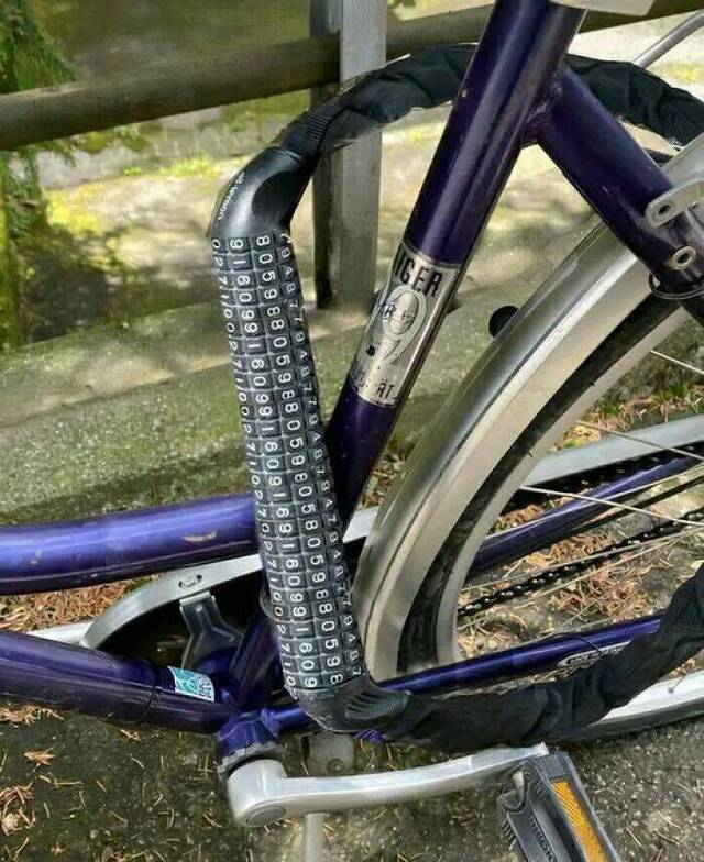 picdump-kw06-2025-144.jpg
