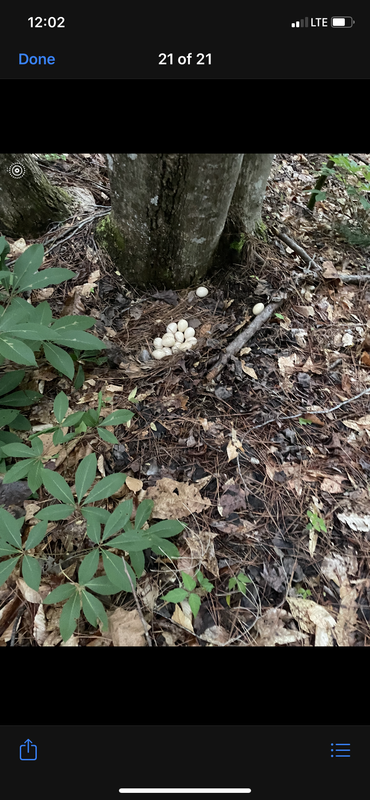 333A4E6C-6AF8-4463-878A-C54B97B35CE5