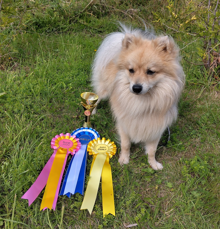 IMG_20250824_125534_HDR~2