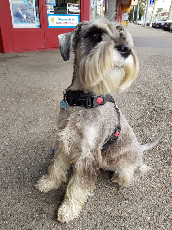 [Image: IMG-2370-2.jpg]