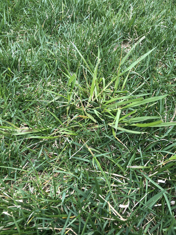 D9F14808-3895-4588-8753-A57ABA77F608