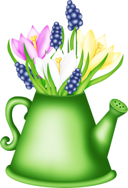 0_1c00ff_fbe68b27_orig