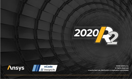 ANSYS 2020 R2 nCode DesignLife (x64)