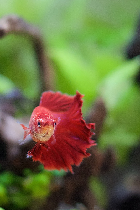 _MG_9439 - Version 4 (1)